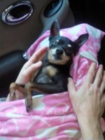 img_20170326_163747a