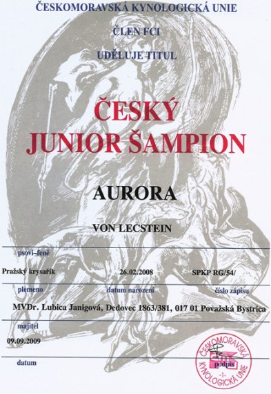Český junioršampión