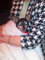 img_20170520_160553a