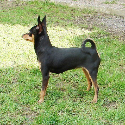 Beátka