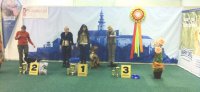 mvp-nr