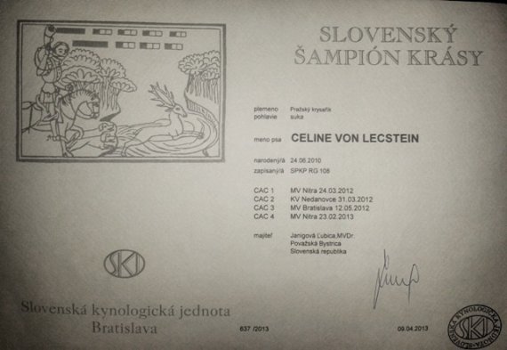 Šampión Slovenska