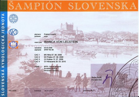 Šampión Slovenska