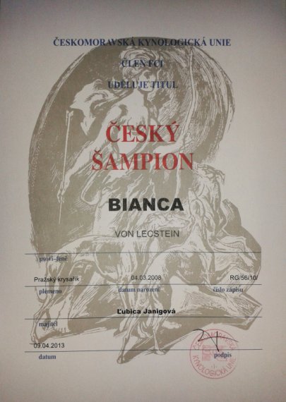 Český šampión