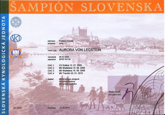 Šampión Slovenska