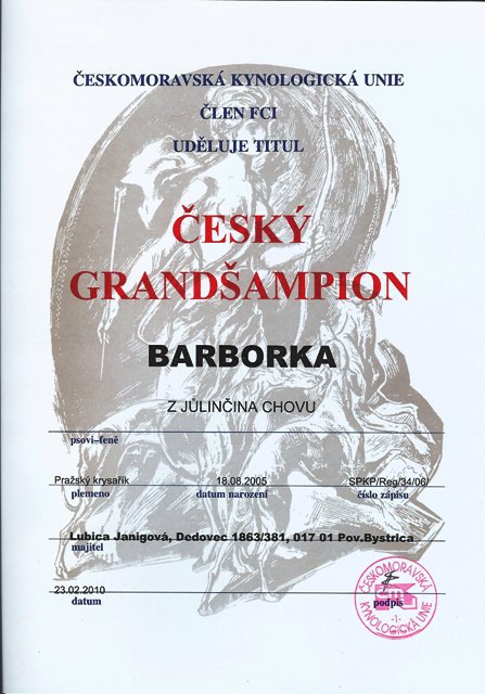 Český grandšampión