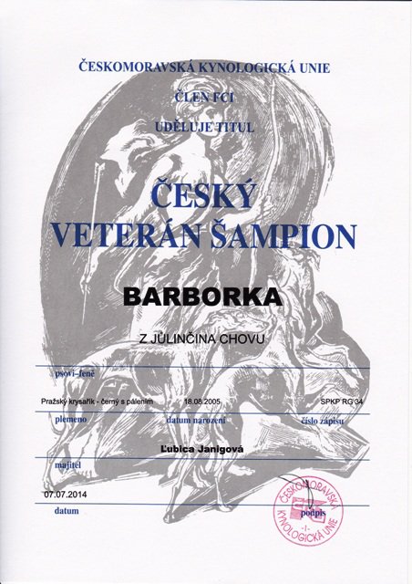 Český veterán šampión