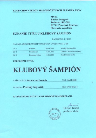 KŠ KCHMPP