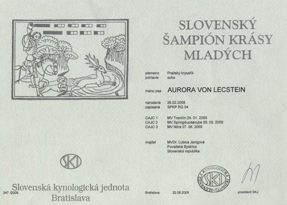 Slovenský šampión krásy mladých