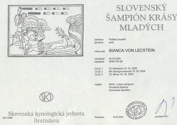 Slovenský šampión krásy mladých