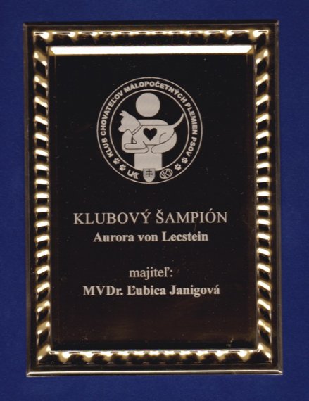 Klubový šampión KCHMPP