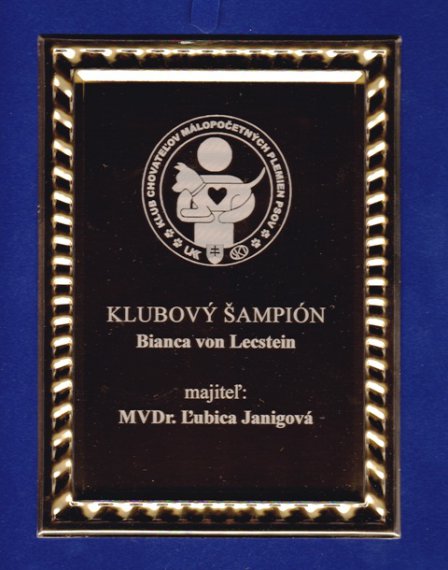 Klubový šampión KCHMPP