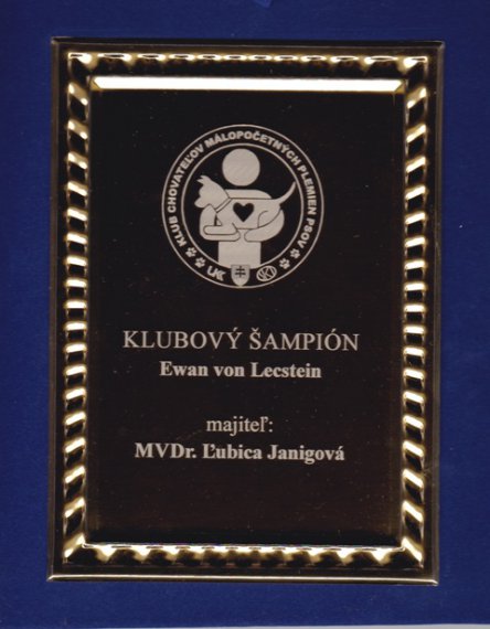 Klubový šampión KCHMPP