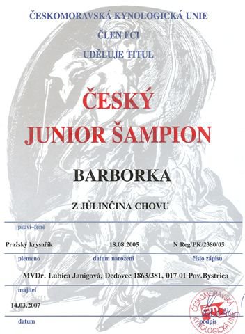 Český junior šampión.