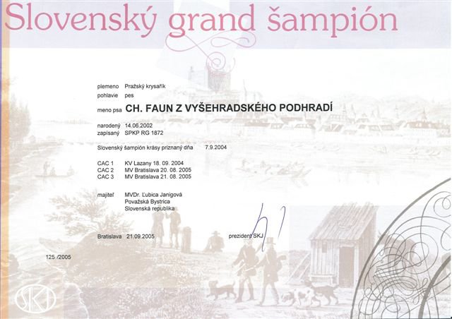 Grandšampión SR.