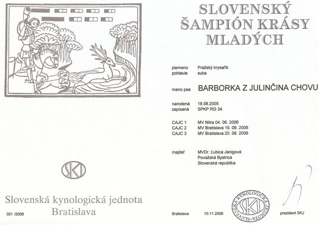 Slovenský šampión krásy mladých.