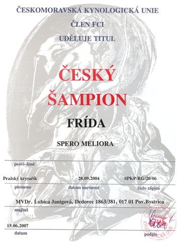 Český šampión.