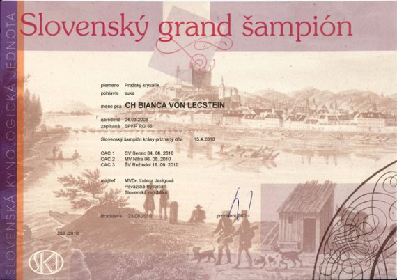 Grand šampión SR