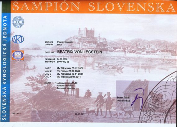 Šampión Slovenska