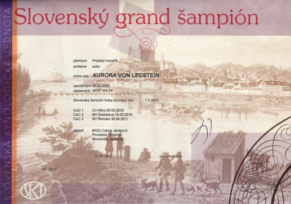 Slovenský grand šampión