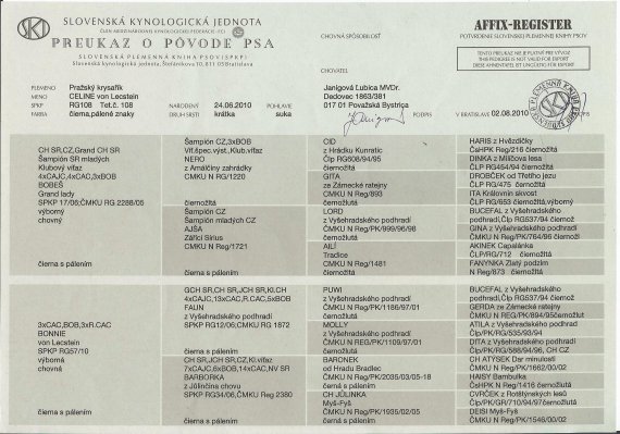 Celine von Lecstein PP
