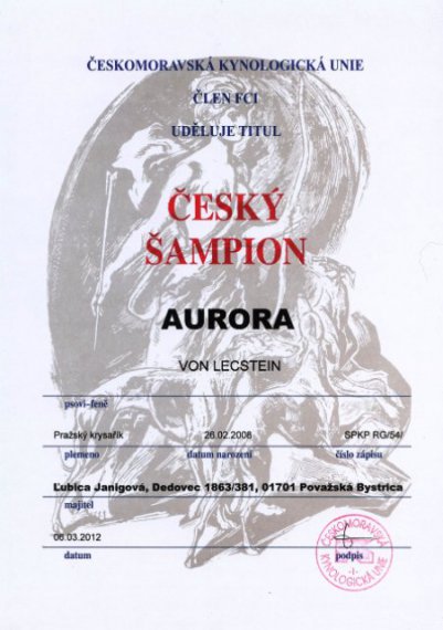Český šampion