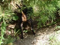 o-foteni-si-myslim-toto