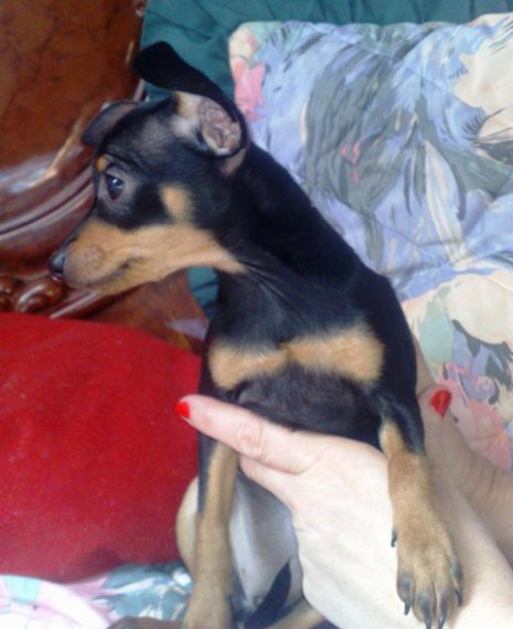 Frederica z profilu