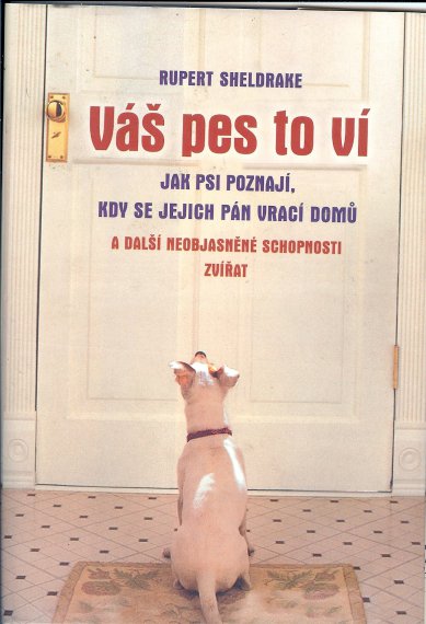 ... a ďalšia