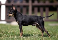 10438467_927806537231902_3875384446263034521_n