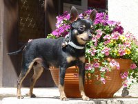 11035300_965912720087950_4750954775029651941_o