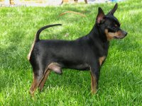 18581575_1779504248745386_2715472460954553521_n