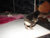dsc06214