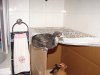 dsc06239