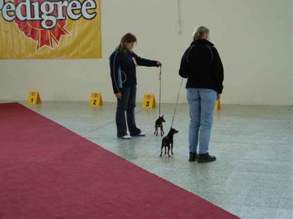 NVP-Čipík a Bobeš- stretnutie šampiónov.