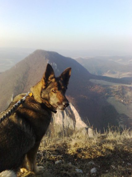 Pohľad zhora