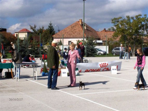 Dobrá rada nad zlato...