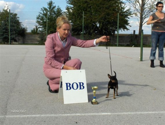 Náš BOB.