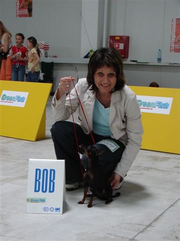 BOB  SPRINGDANUBE.