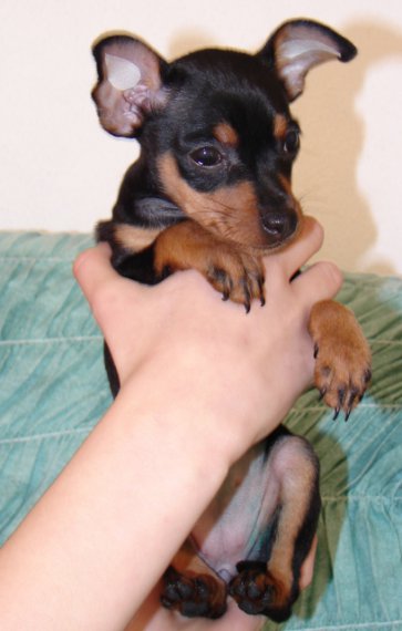 Mesačná princezná