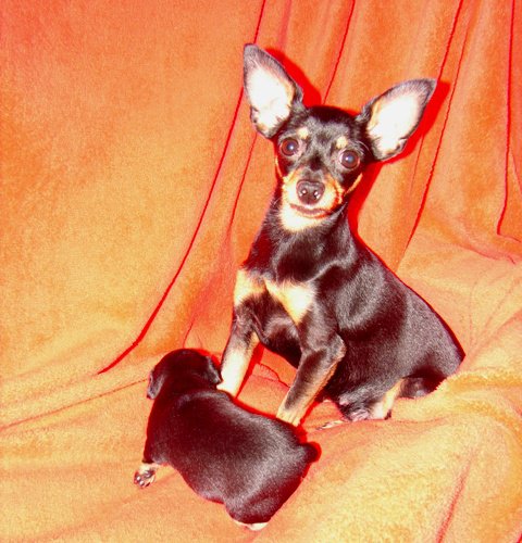 Frederica + Jasmine