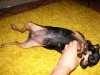 dsc06522
