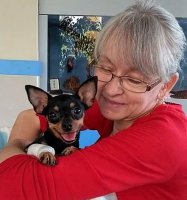 20864699_776853462487378_1403214538_n