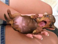 21150760_782043861968338_489121856_n