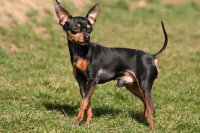 59997520_2081817241946818_3675721608502181888_n