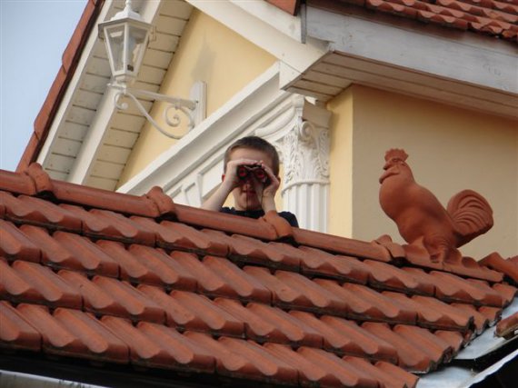 Pozorovateľ.